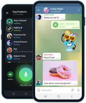 Tampilan aplikasi Telegram di ponsel Android